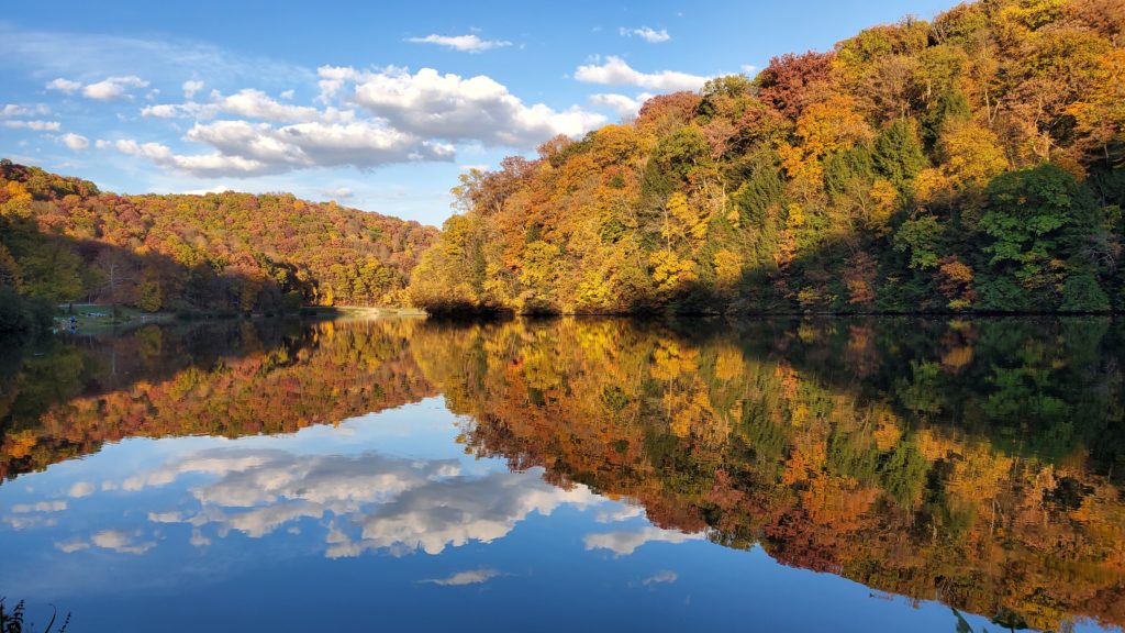 Bradys Run autumn reflections